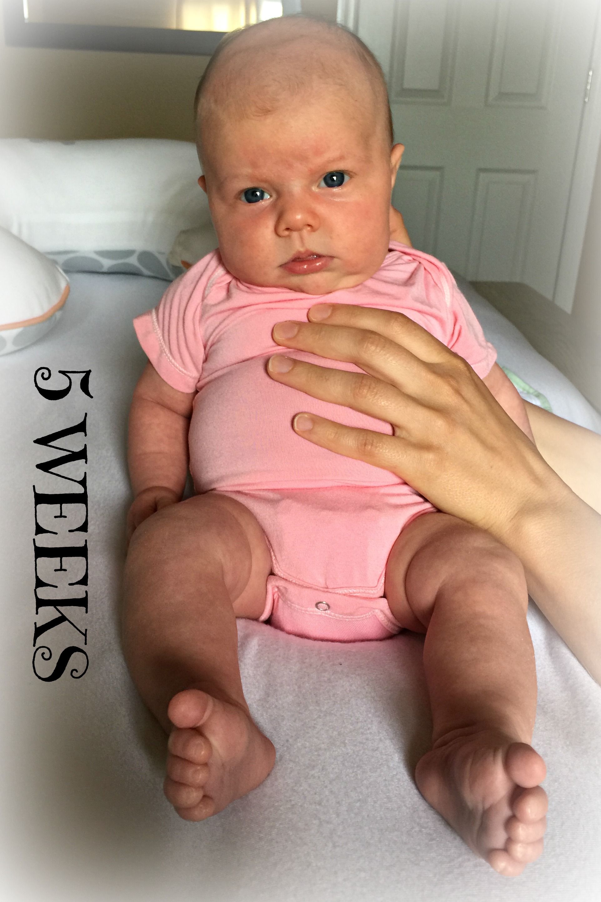 scarlett5weeks