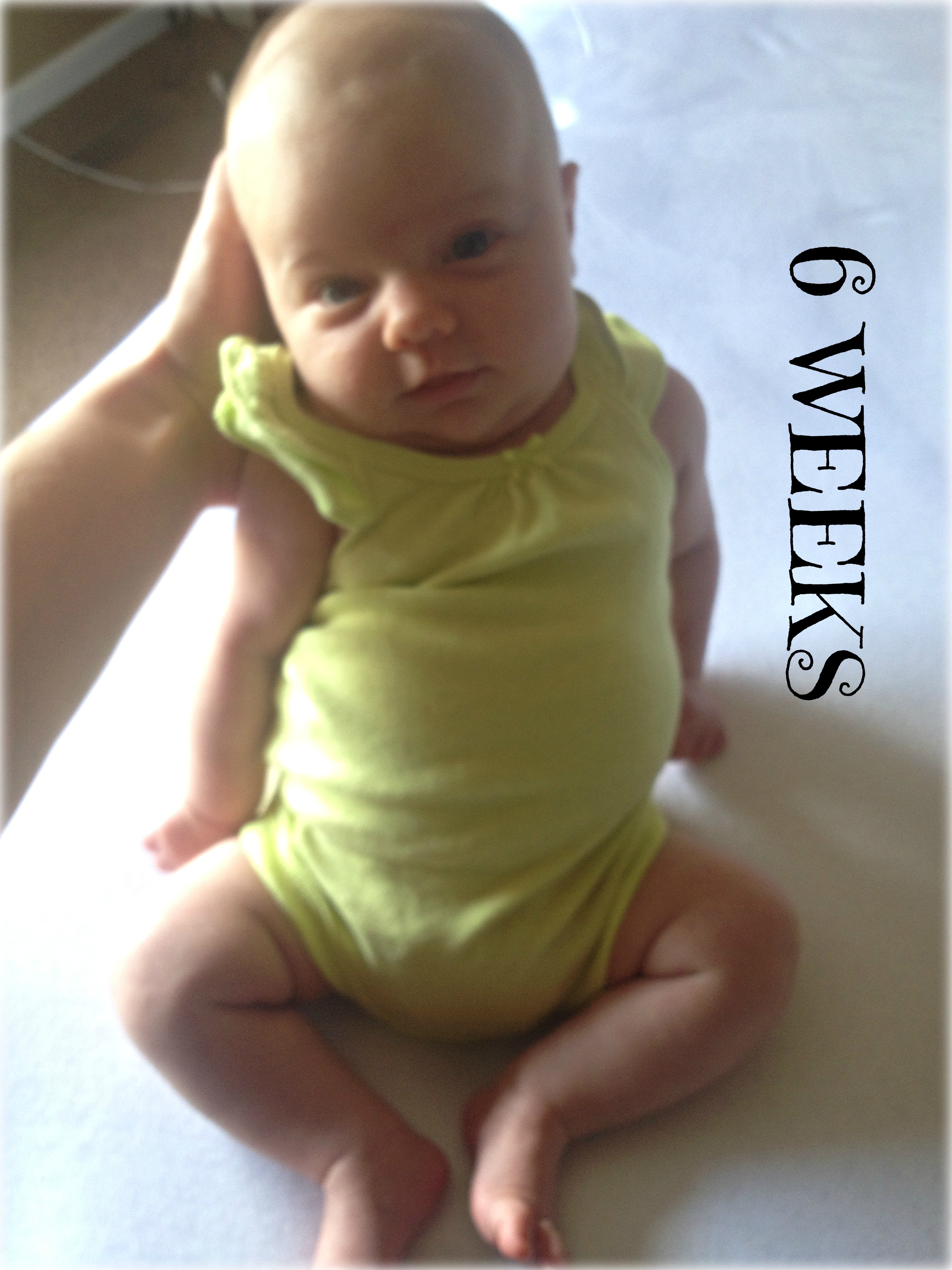 scarlett6weeks