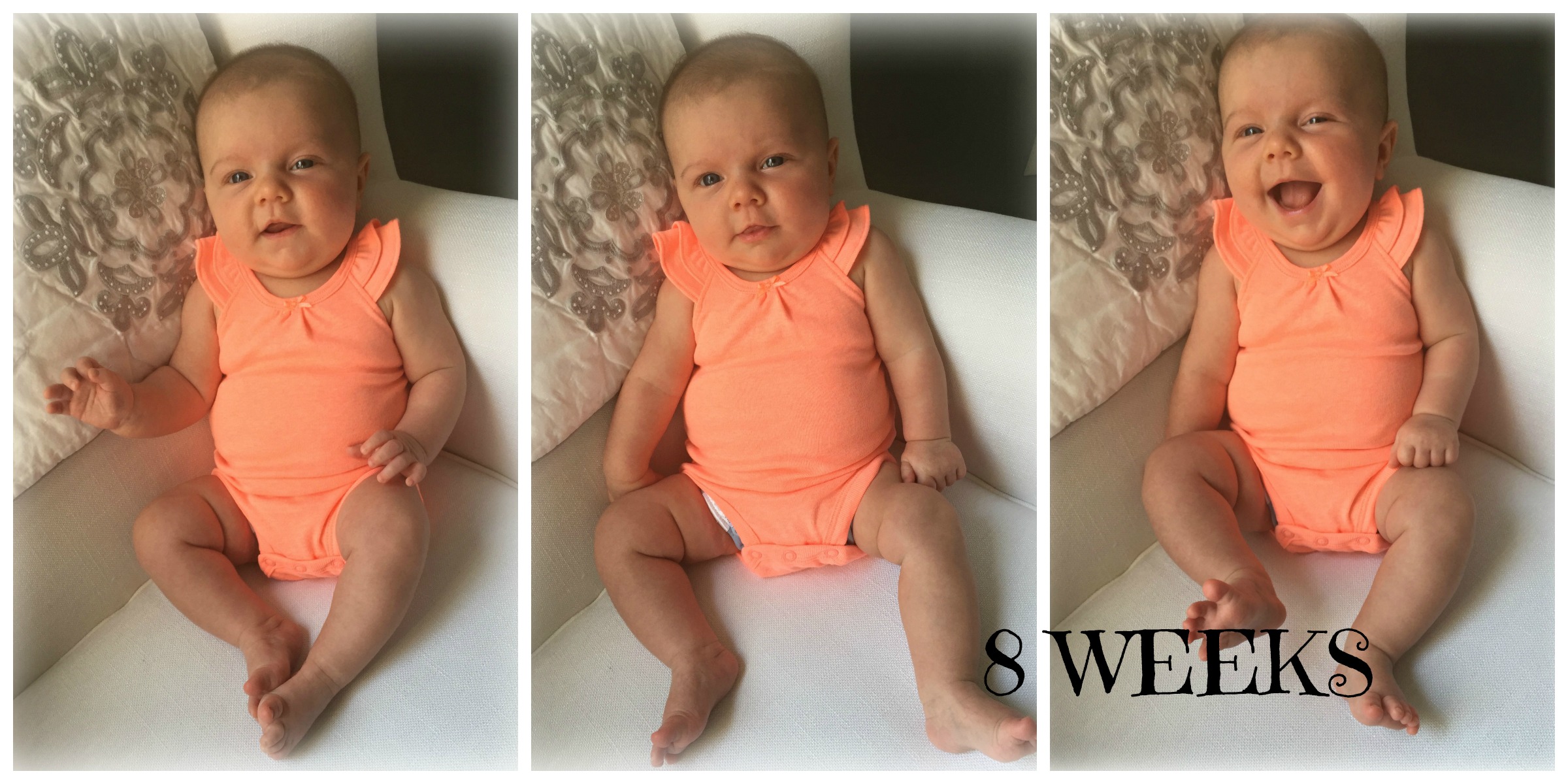 Scarlett8Weeks Collage